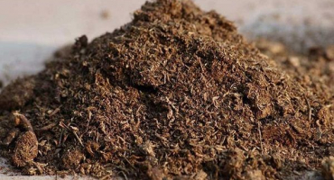 Jak správně používat rašelinové hnojivo a k čemu slouží